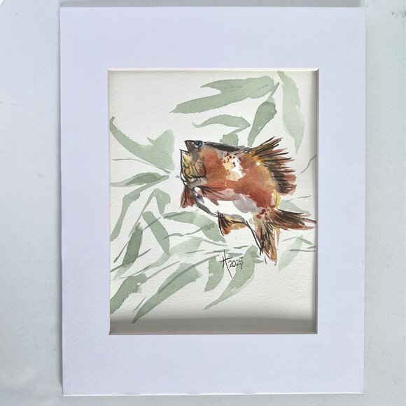 Crappie in Reeds Original Watercolor Wall Art Painting 11x14in Matted FrameReady - Picture 3 of 6